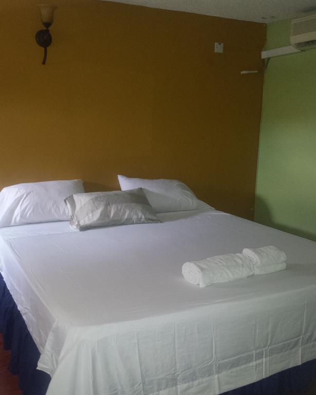 Impeccable Guest Rooms 2 キングストン エクステリア 写真
